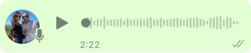 Voice message from the user